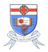 Illustration of the Tallaght logo